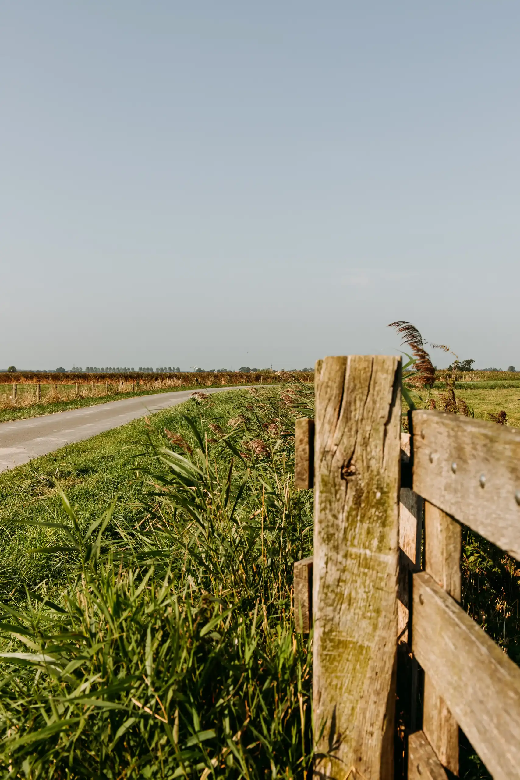 Polderpad door de eilandspolder